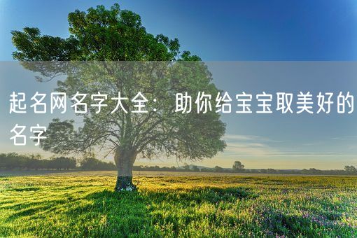 起名网名字大全：助你给宝宝取美好的名字(图1)
