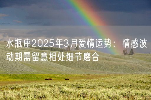 水瓶座2025年3月爱情运势：情感波动期需留意相处细节磨合(图1)