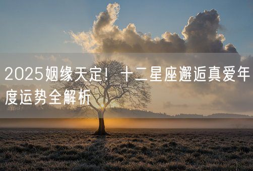 2025姻缘天定！十二星座邂逅真爱年度运势全解析(图1)