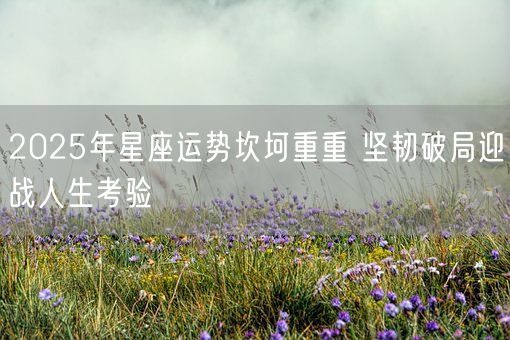 2025年星座运势坎坷重重 坚韧破局迎战人生考验(图1) 2025年星座运势坎坷重重 坚韧破局迎战人生考验(图1)