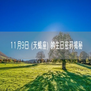 11月9日 (天蝎座) 的生日密码揭秘
