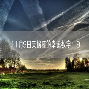 11月9日天蝎座的幸运数字：9