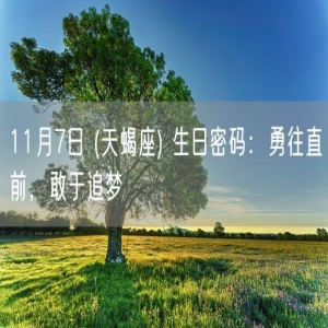 11月7日 (天蝎座) 生日密码：勇往直前，敢于追梦