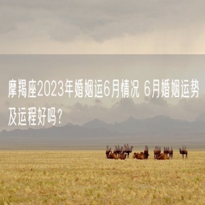 摩羯座2023年婚姻运6月情况 6月婚姻运势及运程好吗？