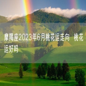 摩羯座2023年6月桃花运走向  桃花运好吗