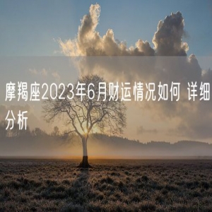 摩羯座2023年6月财运情况如何 详细分析
