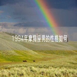 1994年摩羯座男的性格如何