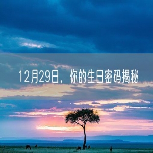 12月29日，你的生日密码揭秘