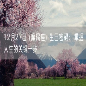 12月27日 (摩羯座) 生日密码：掌握人生的关键一步
