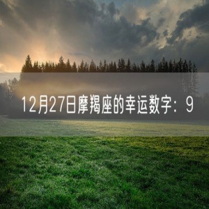 12月27日摩羯座的幸运数字：9
