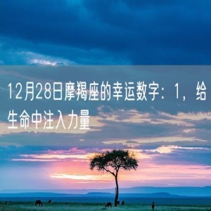 12月28日摩羯座的幸运数字：1，给生命中注入力量