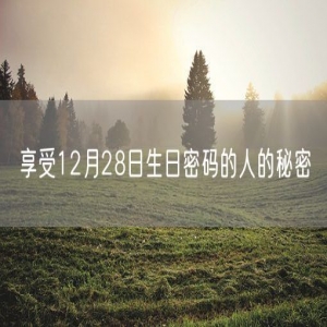 享受12月28日生日密码的人的秘密