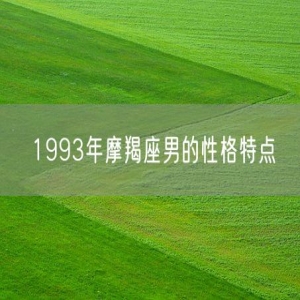 1993年摩羯座男的性格特点