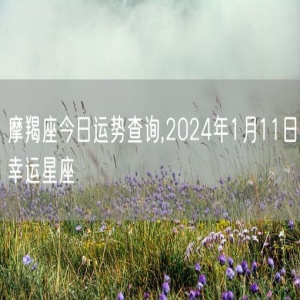 摩羯座今日运势查询,2024年1月11日幸运星座