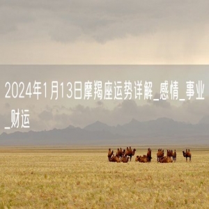 2024年1月13日摩羯座运势详解_感情_事业_财运