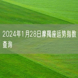 2024年1月28日摩羯座运势指数查询