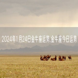 2024年1月24日金牛座运势,金牛座今日运势