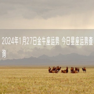 2024年1月27日金牛座运势 今日星座运势查询