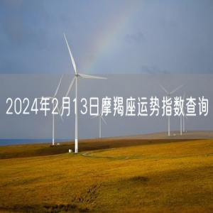 2024年2月13日摩羯座运势指数查询