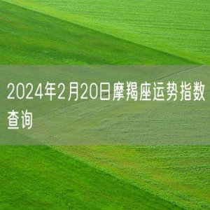2024年2月20日摩羯座运势指数查询