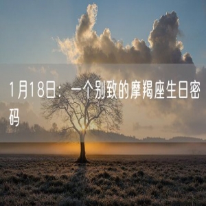 1月18日：一个别致的摩羯座生日密码