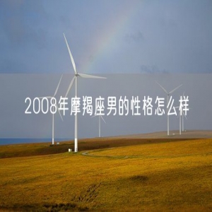 2008年摩羯座男的性格怎么样