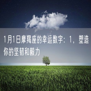 1月1日摩羯座的幸运数字：1，塑造你的坚韧和毅力