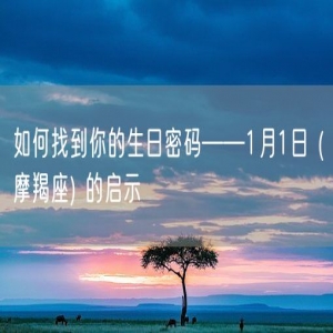 如何找到你的生日密码——1月1日 (摩羯座) 的启示