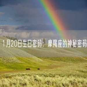 1月20日生日密码：摩羯座的神秘密码