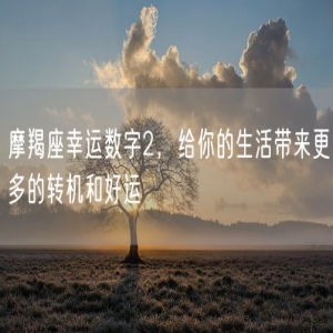摩羯座幸运数字2，给你的生活带来更多的转机和好运