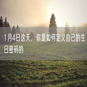 1月4日这天，你是如何定义自己的生日密码的