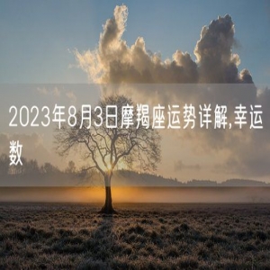 2023年8月3日摩羯座运势详解,幸运数