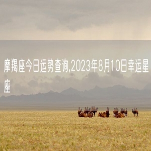 摩羯座今日运势查询,2023年8月10日幸运星座