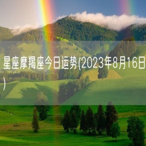 星座摩羯座今日运势(2023年8月16日) 
