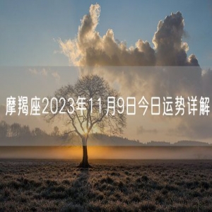 摩羯座2023年11月9日今日运势详解