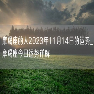 摩羯座的人2023年11月14日的运势_摩羯座今日运势详解
