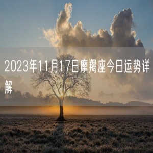 2023年11月17日摩羯座今日运势详解