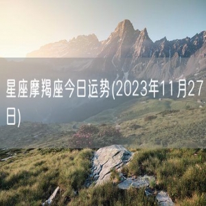 星座摩羯座今日运势(2023年11月27日) 
