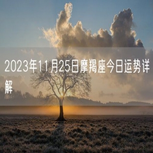 2023年11月25日摩羯座今日运势详解