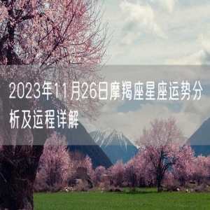2023年11月26日摩羯座星座运势分析及运程详解