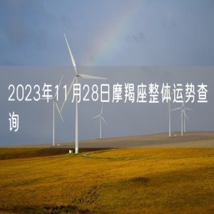 2023年11月28日摩羯座整体运势查询