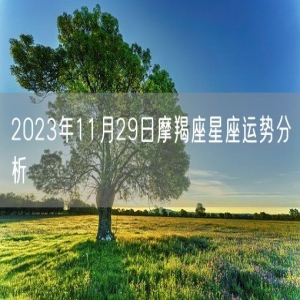 2023年11月29日摩羯座星座运势分析