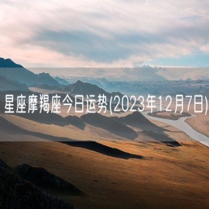 星座摩羯座今日运势(2023年12月7日) 