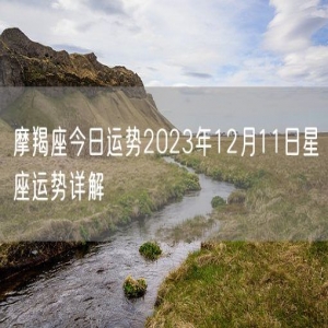摩羯座今日运势2023年12月11日星座运势详解