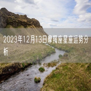 2023年12月13日摩羯座星座运势分析
