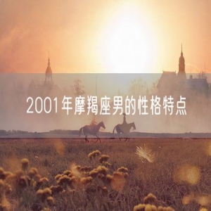 2001年摩羯座男的性格特点