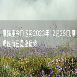 摩羯座今日运势2023年12月29日,摩羯座每日星座运势