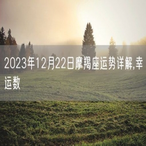 2023年12月22日摩羯座运势详解,幸运数