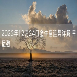2023年12月24日金牛座运势详解,幸运数