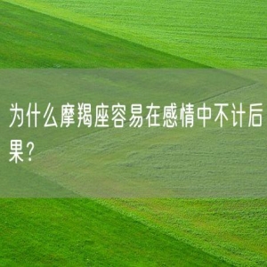 为什么摩羯座容易在感情中不计后果？